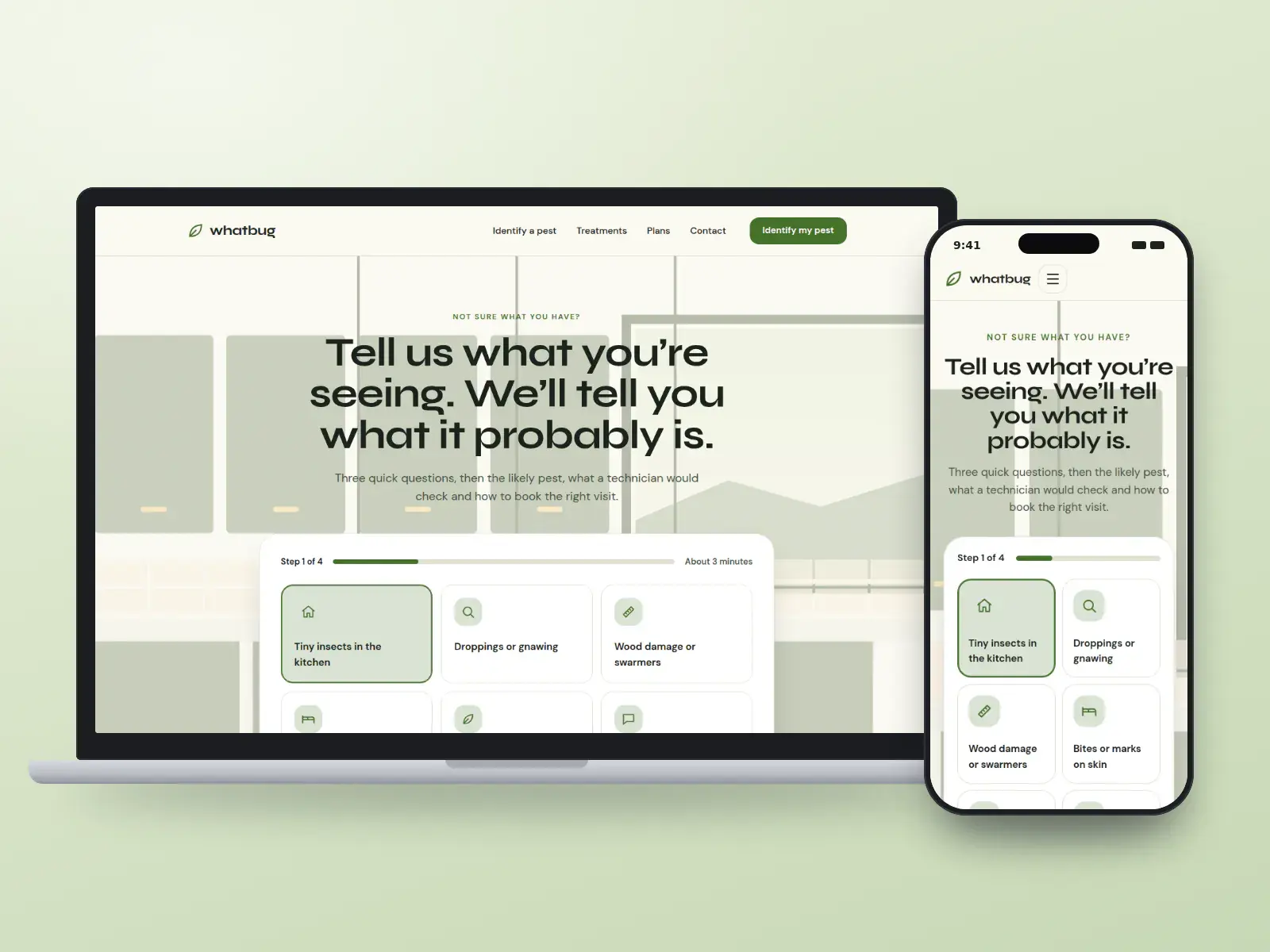whatbug pest solutions, a beetle green and cream pest identifier website on a laptop and a phone, with tiles for kitchen insects, droppings, wood damage and bites in a step-by-step quiz.
